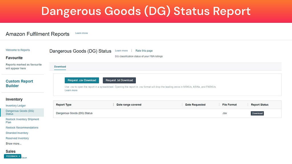 Screenshot of Dangerous Goods (DG) Report (Amazon Fulfillment Reports)