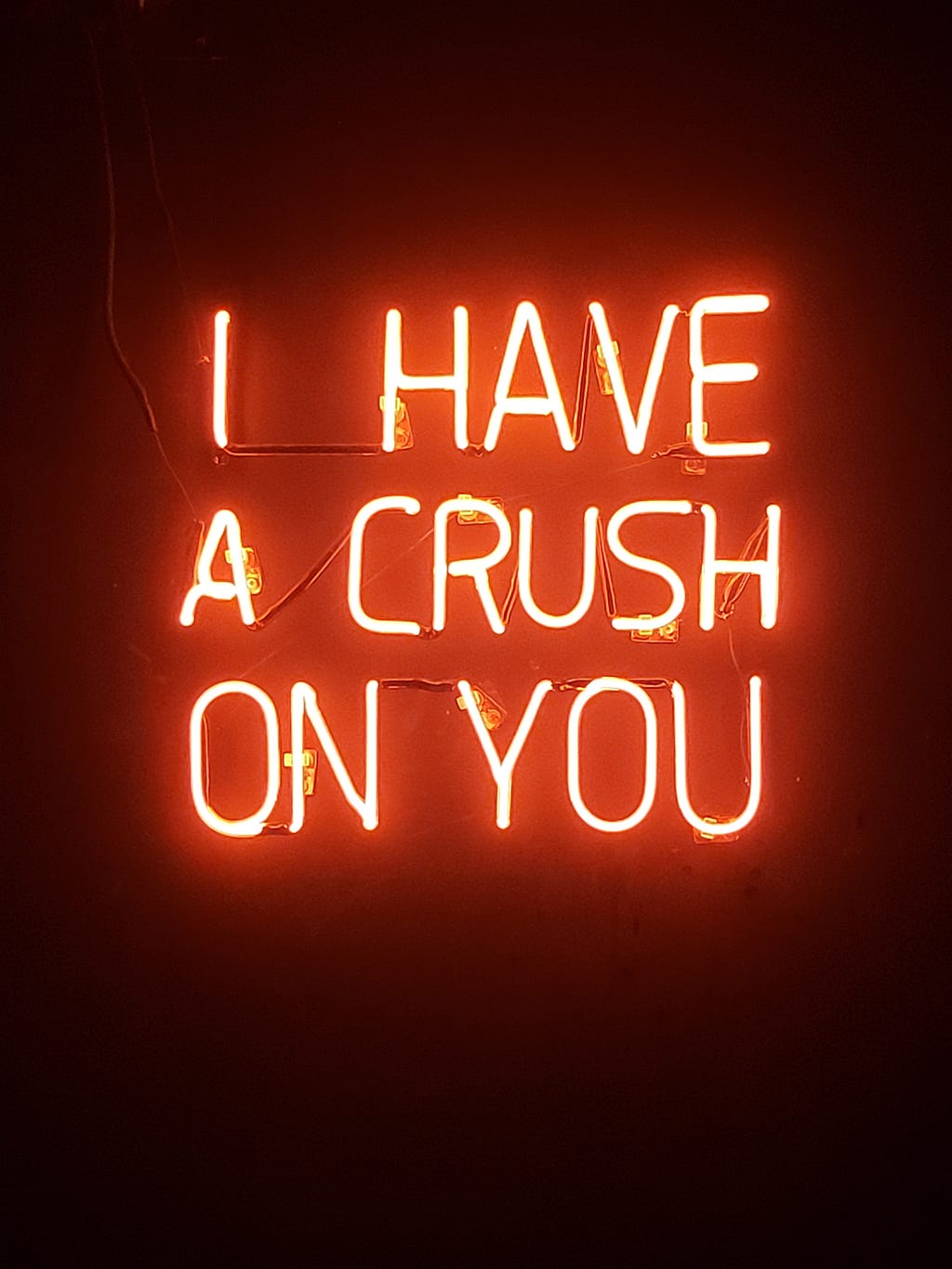 i have a crush on you neon led