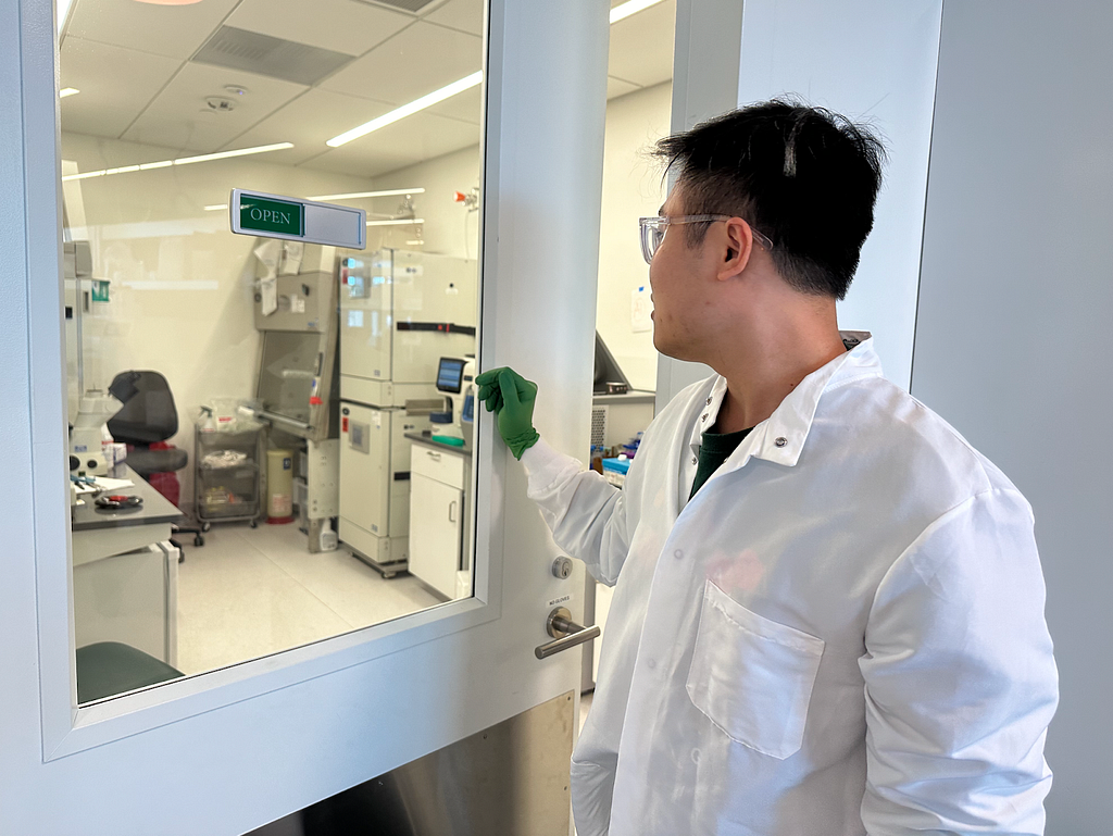 Luan checking in on the cells he’s culturing in the lab.