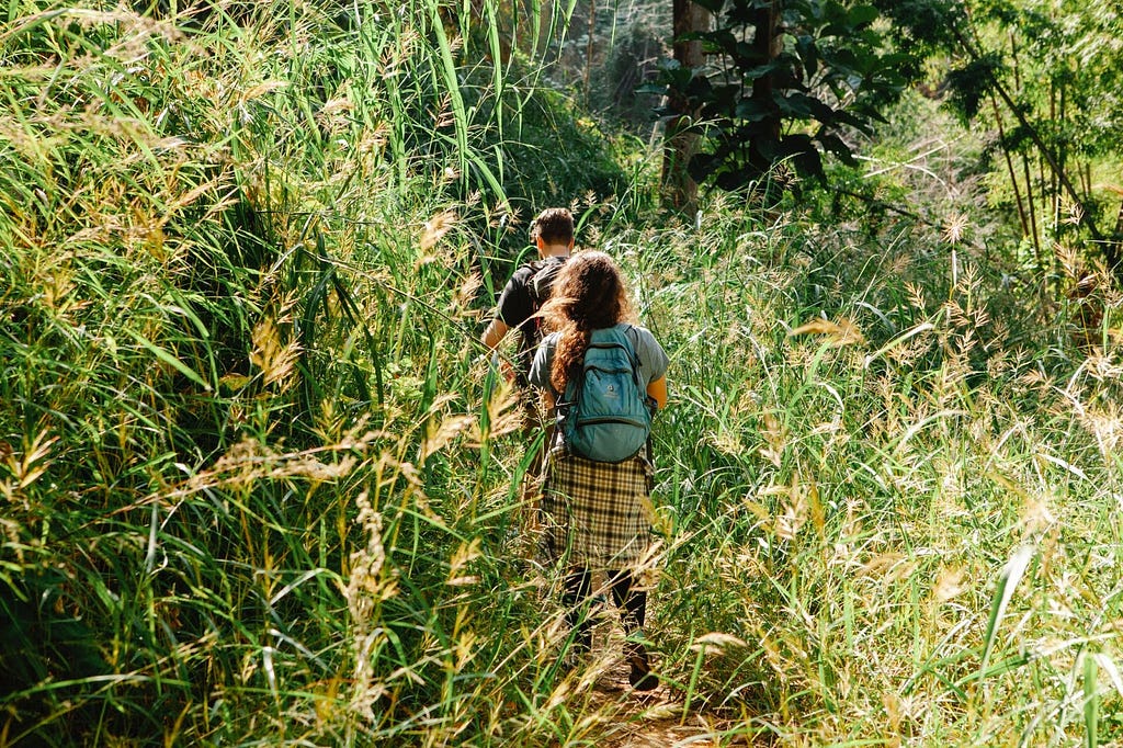 Two people hiking through tall, leafy plants.