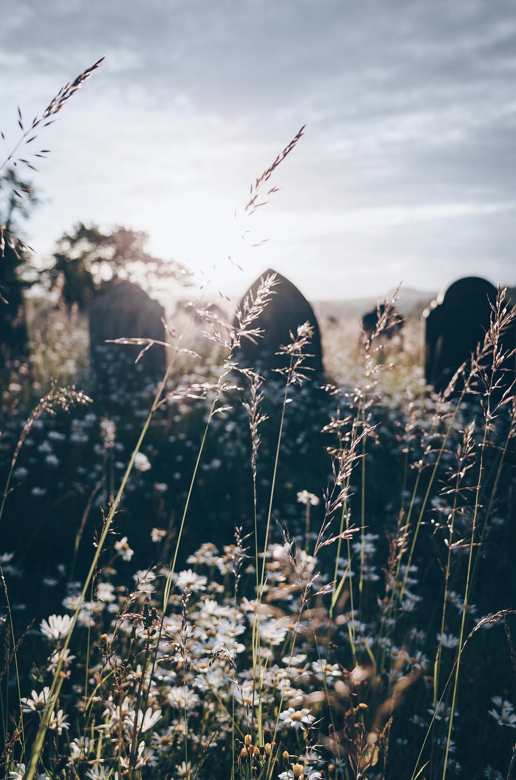 An image of silhouetted grave stones with the sun shining in the background