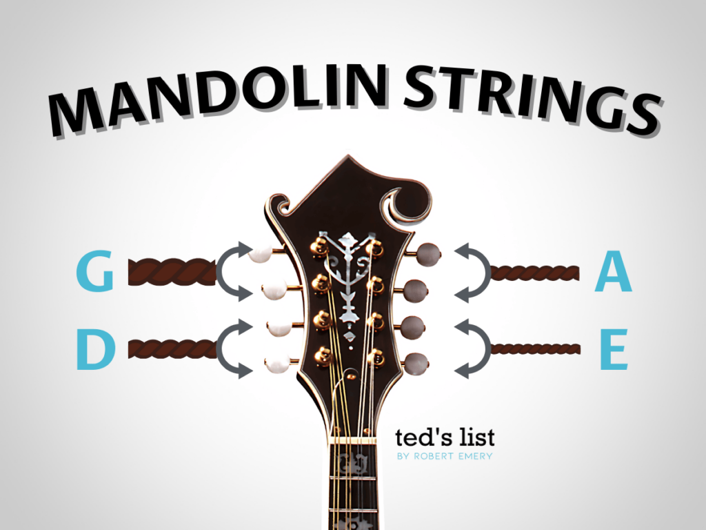 Mandolin Strings Names