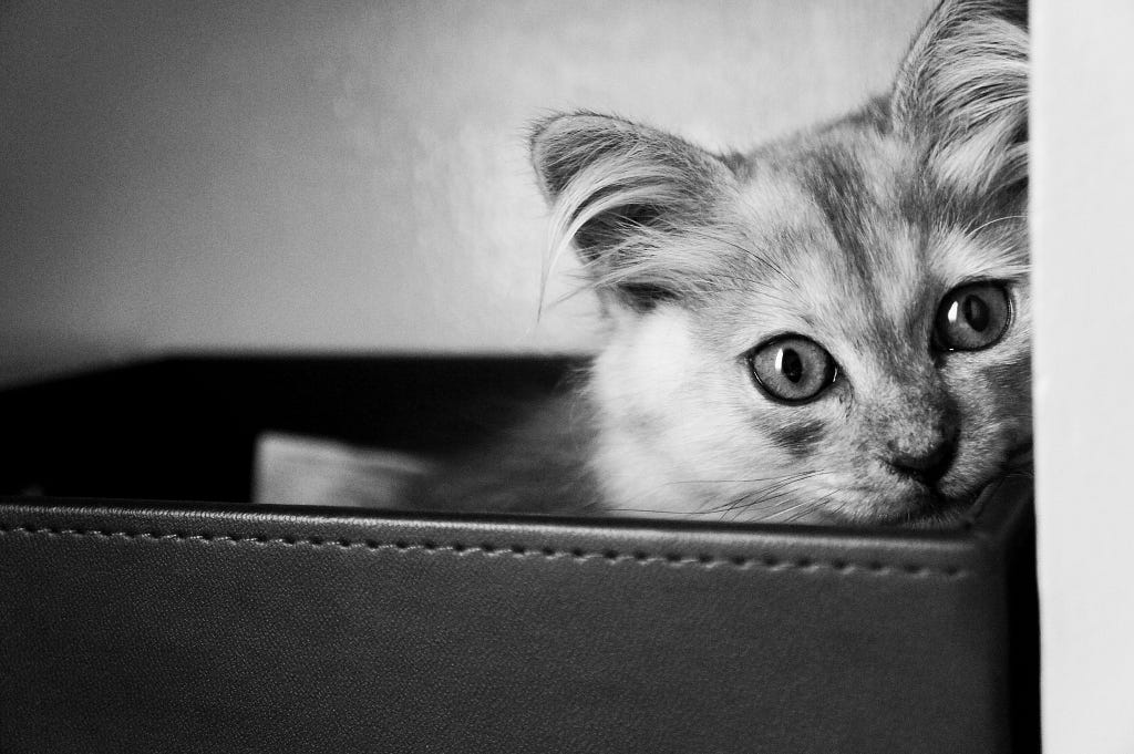 Storm, b&w box