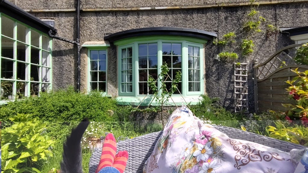 A view across a small overgrown garden to a bow window and a grey pebbledash wall with plants growing up it. In the foreground the end of a garden sofa with a pair of feet in stripy red socks (my own) and a black tail (my cat’s)