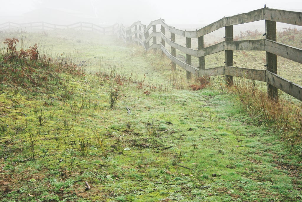 Medium view of an old wooden fence in the country in the mist.