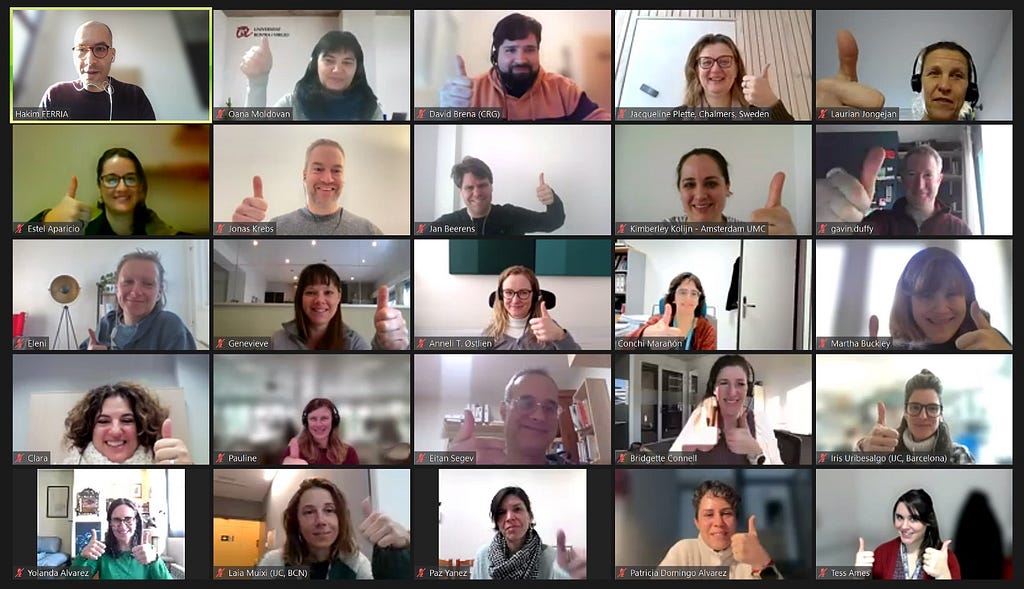 Screenshots from one of the last Zoom meeting of the working group