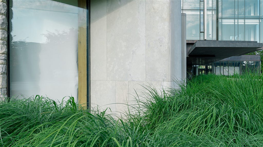 Architecture detail of plants grown around the Building