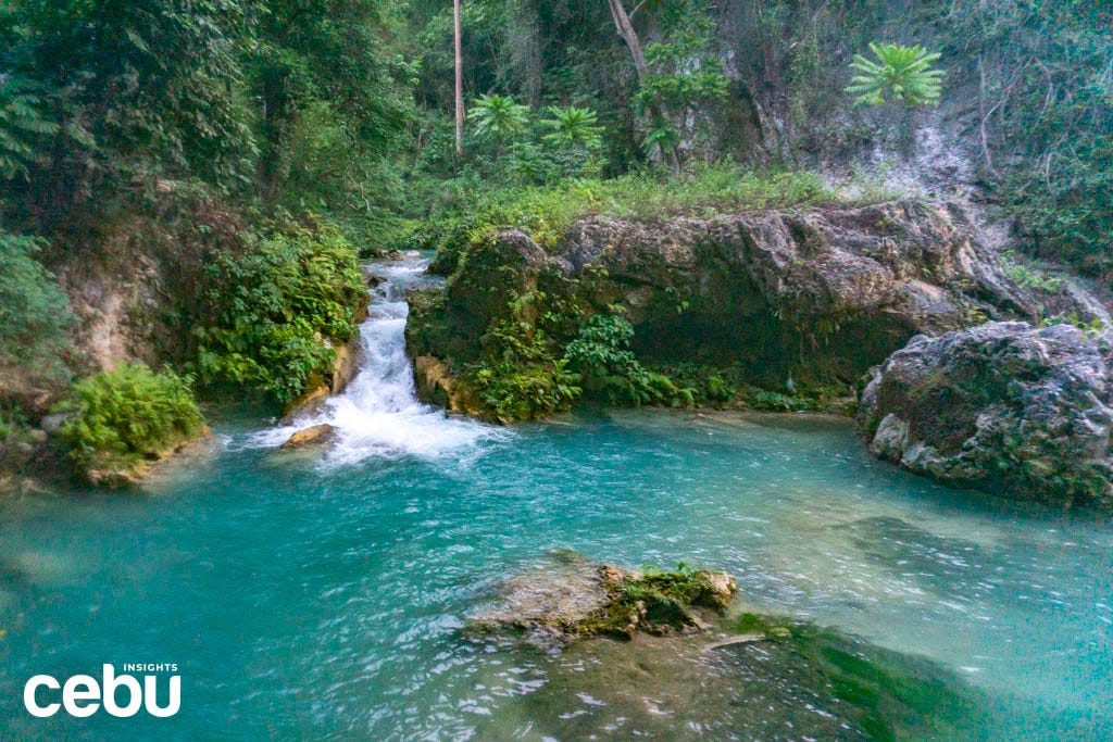 Badian at Kawasan Falls