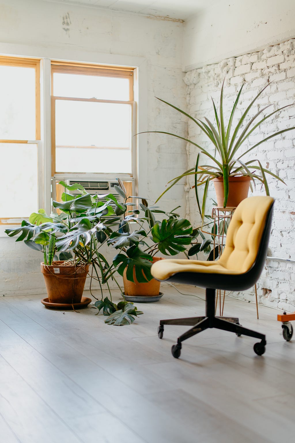 empty therapist’s chair, in a white brick room, with green plants in the background.