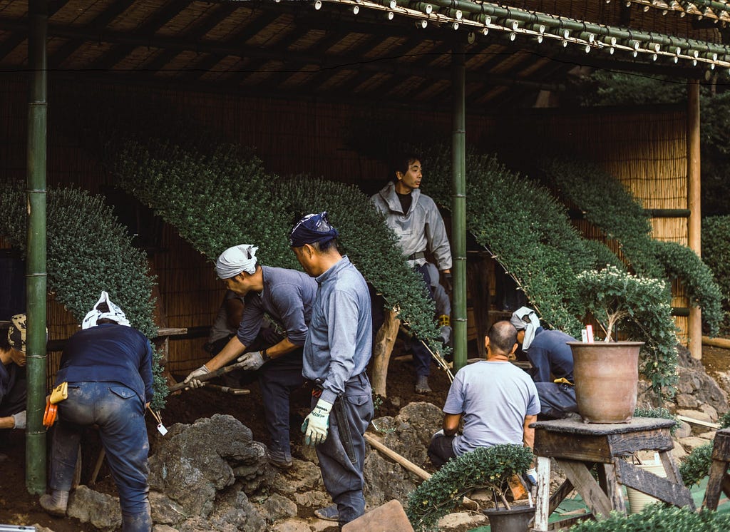 Landscaping crew hard at work