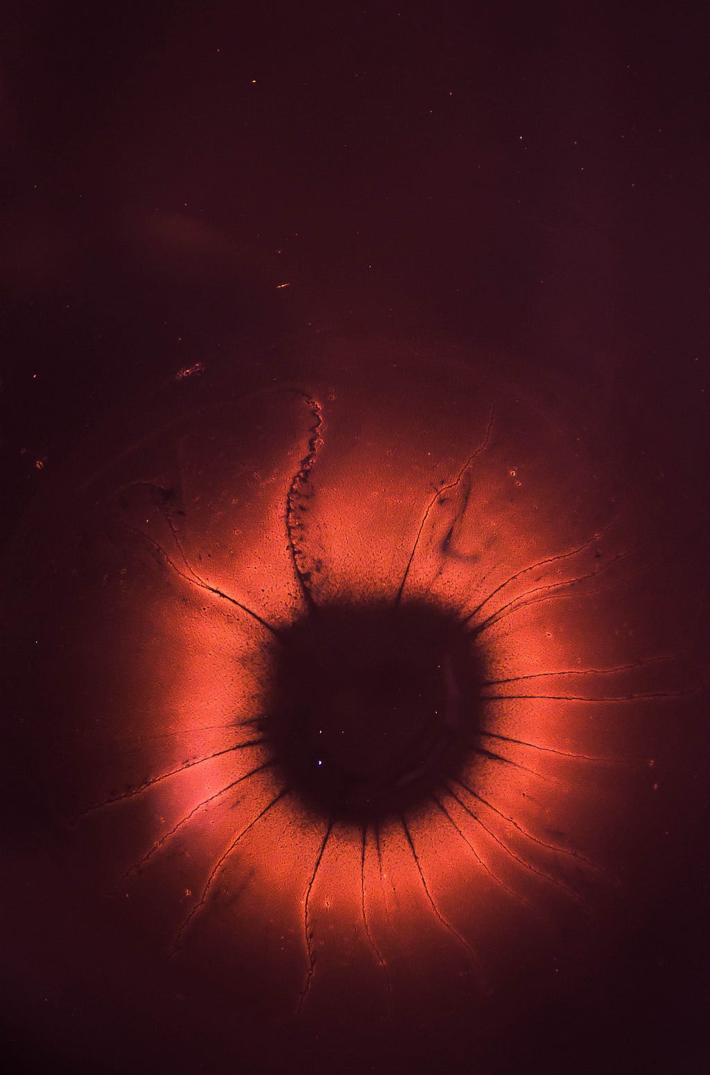 Picture of the inside of an eye