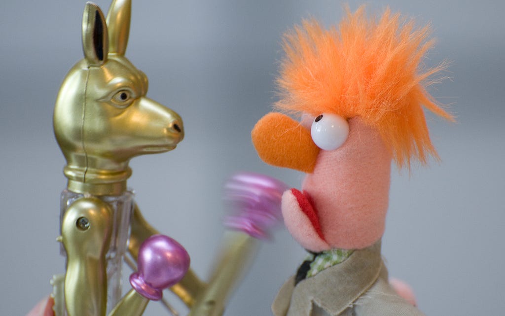 Toy kangaroo with boxing gloves fighting a muppet. Yes, really!