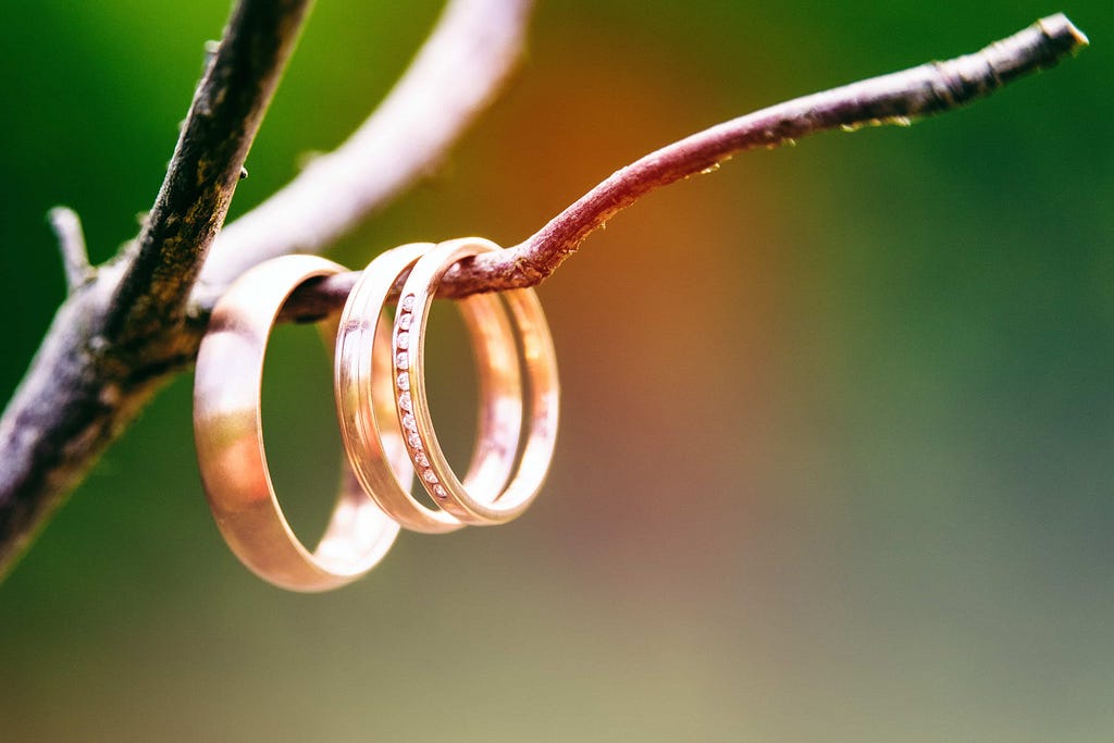 A couple’s wedding bands and engagement ring hanging from a branch.