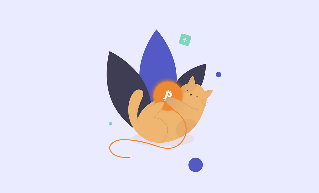 Custom illustration — the cat