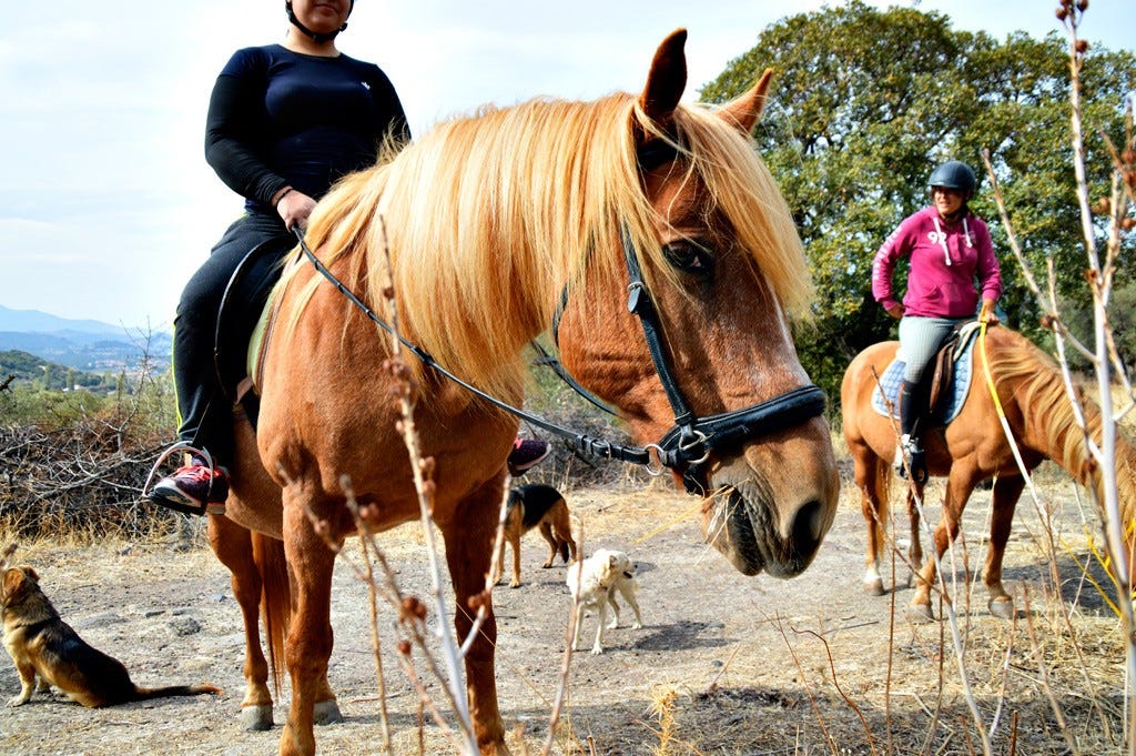 Lesvos HorseBack Riding and Hiking