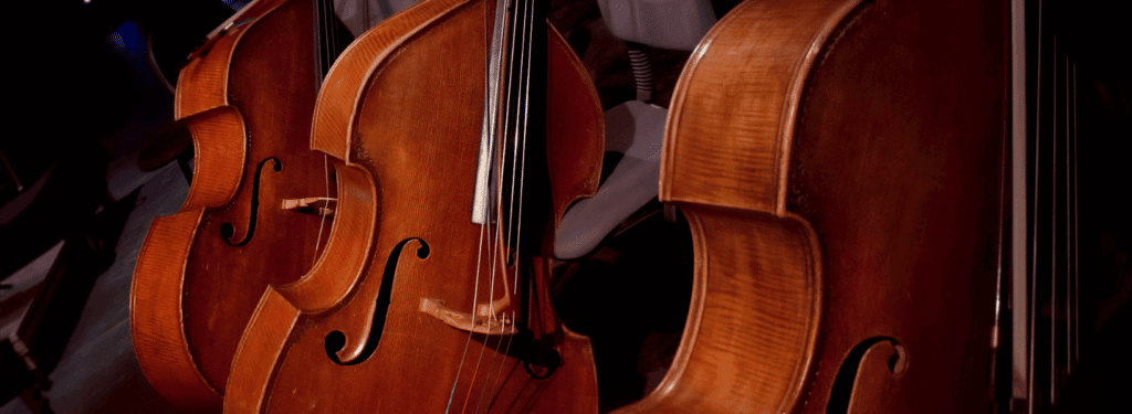 standing double bass