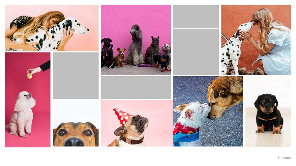 Photo of a student’s mood board with a lot of cute dogs.