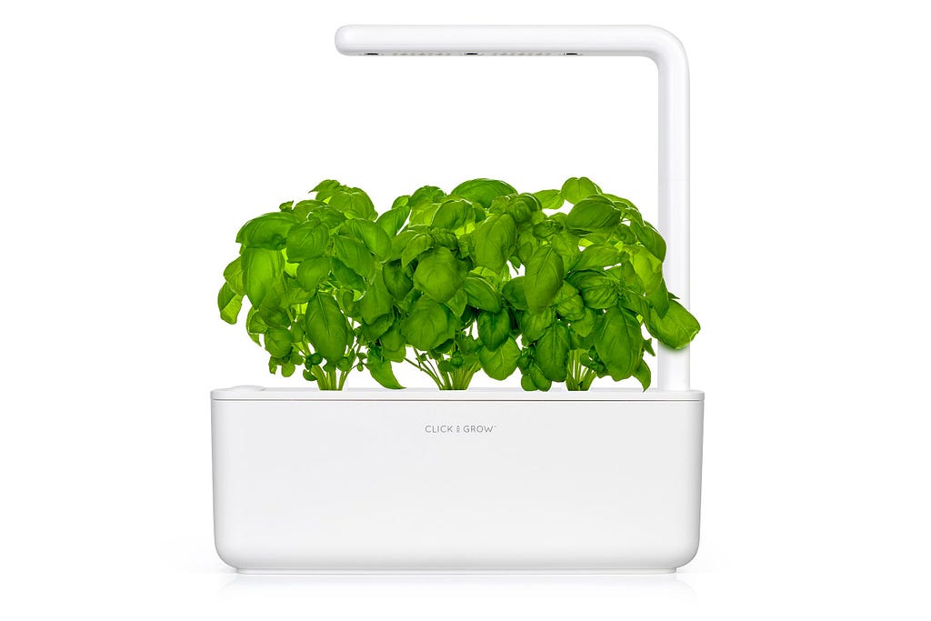 Three green basil plants grow from a white rectangle container with a lamp extension arm