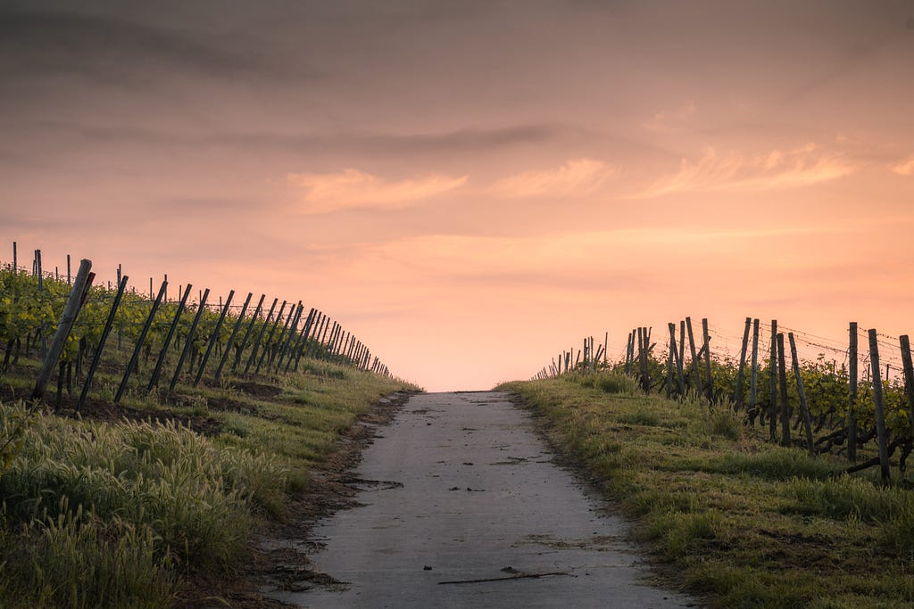 path on a rural road