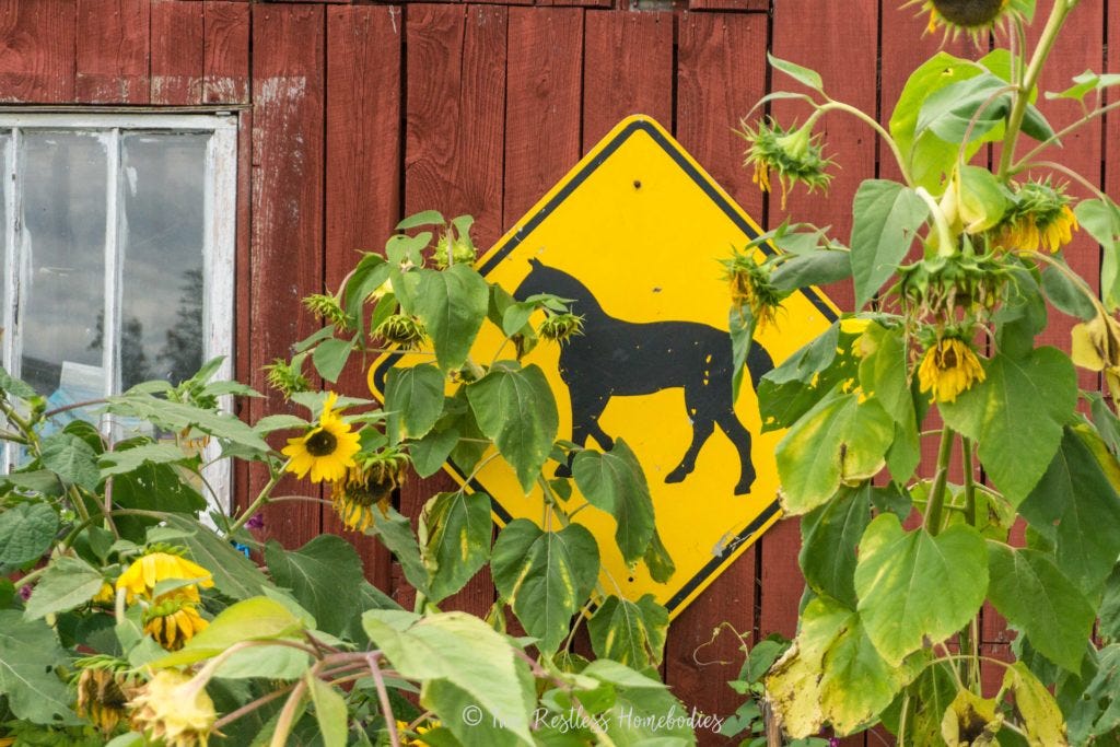 Horse crossing sign at Painted Bar Stables in New York