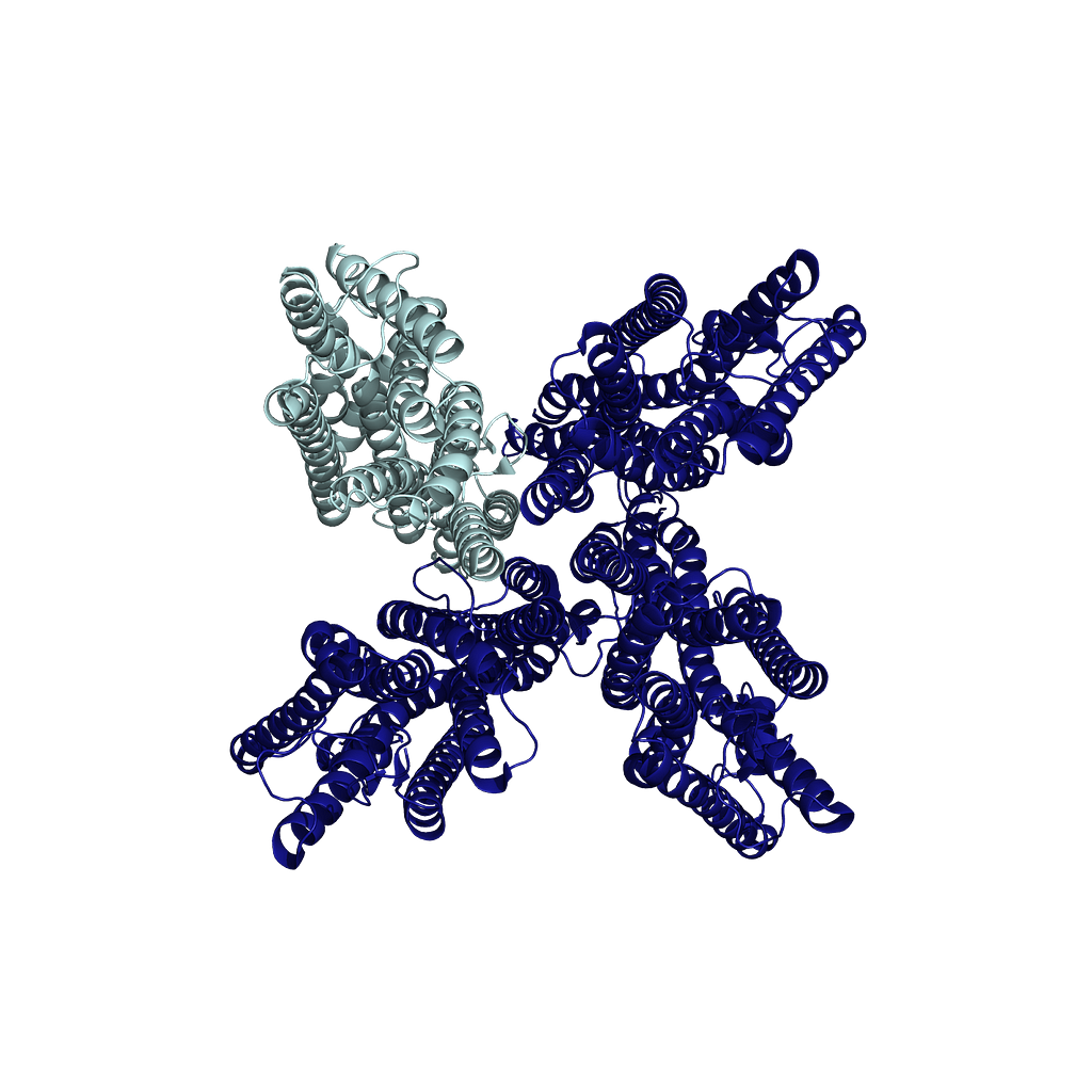The AaOR10/Orco complex with OR10 in light blue and Orco proteins in dark blue. PDB:8V00. CC BY SBGRID