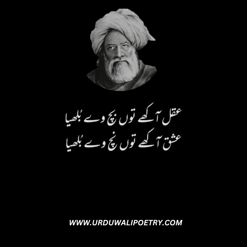 Baba Bulleh Shah Poetry in Urdu 2 Lines | Bulleh Shah Sufi Poetry