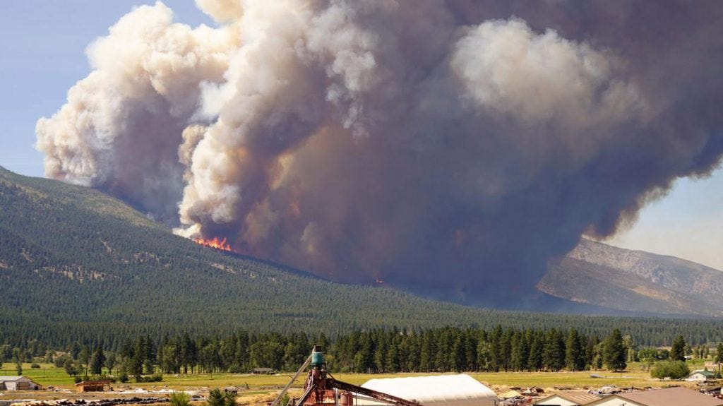 giant wildfire in Montana