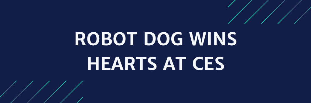 Robot dog wins hearts at CES product news headline