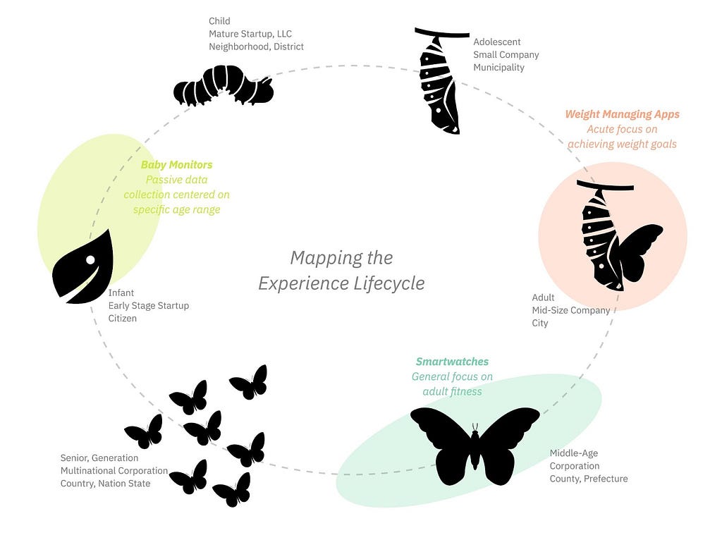A circular diagram of a butterfly lifecycle with text adjacent to each stage informing analogous stages of user, civic, and corporate lifecycles.