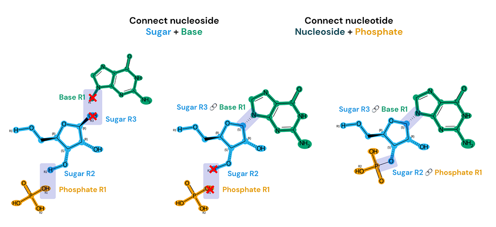 Three structure images side-by-side. The first contains disconnected guanine, ribose, and phosphate monomers with the base’s R1 and sugar’s R3 groups crossed out. The second image is labeled “Connect nucleoside, Sugar + Base,” now with a dashed bond between the sugar’s R3 and base’s R1 groups and the sugar’s R2 and phosphate’s R1 groups crossed out. The last image is labeled “Connect nucleotide, Nucleoside + Phosphate” and now has a solid bond between the sugar’s R2 and phosphate’s R1.