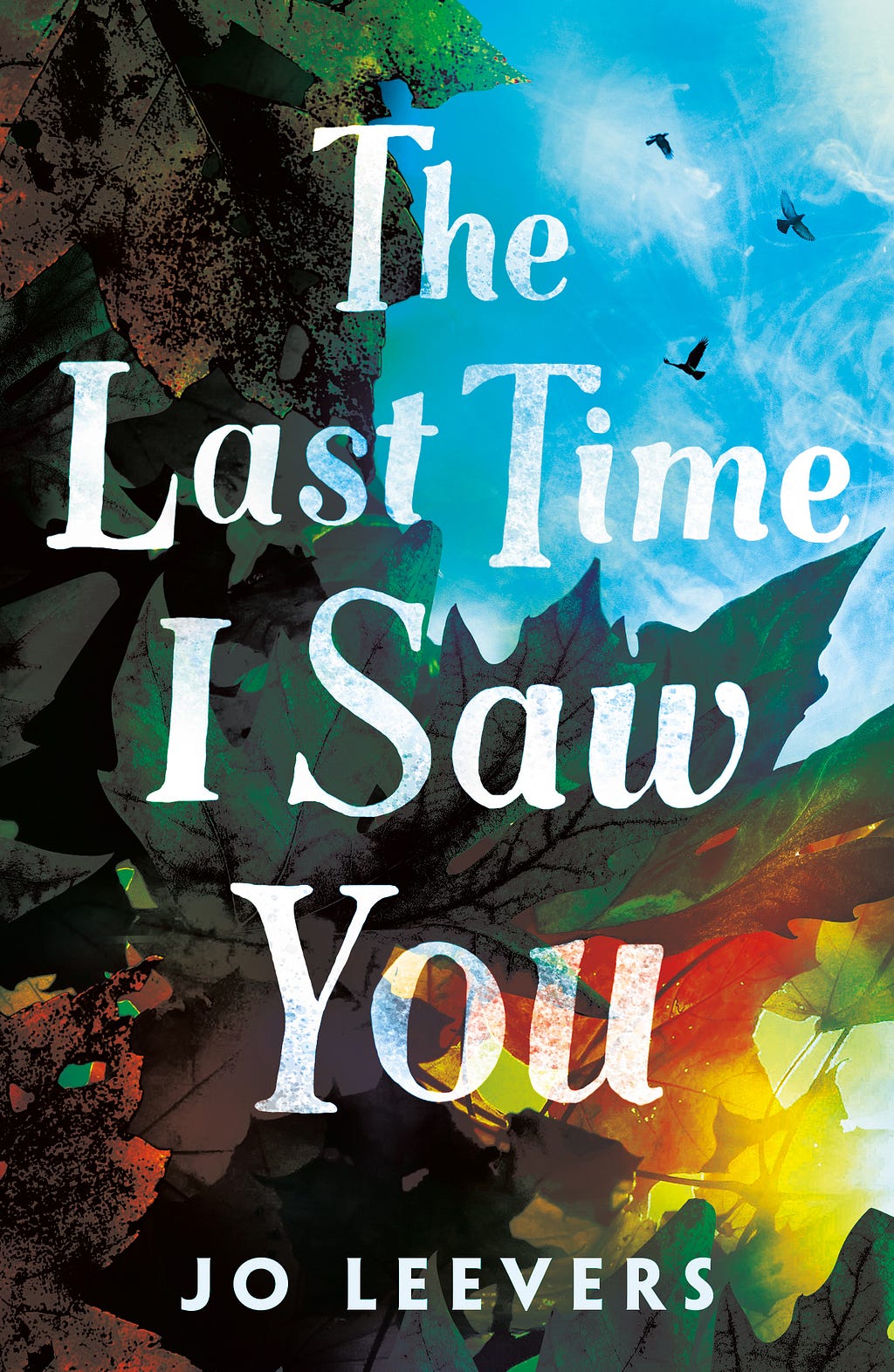 PDF The Last Time I Saw You By Jo Leevers