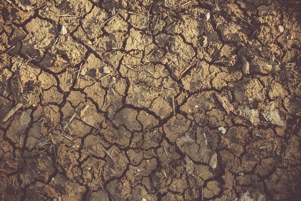 uma foto de uma terra seca e craquelada