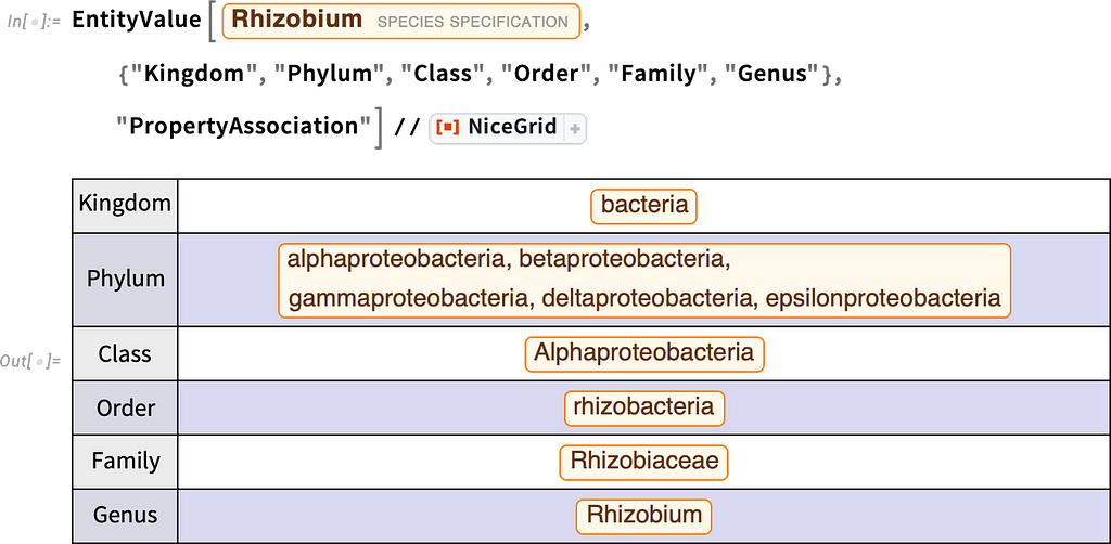 Species data chart for Rhizobium