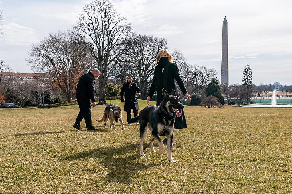 First Lady Dr. Jill Biden, joined by White House Grounds Superintendent Dale Haney and her granddaughter Maisy Biden, play with the Bidens’ dogs Major and Champ on the South Lawn of the White House on Jan. 24, 2021.