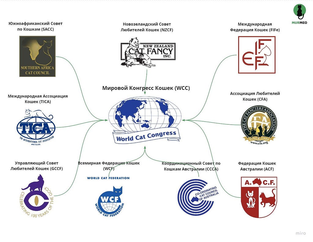 Список основных фелинологических организаций