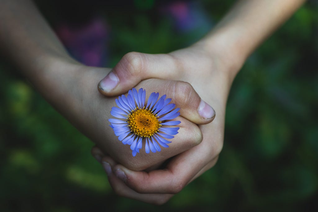 duas mãos fechadas segurando uma flor