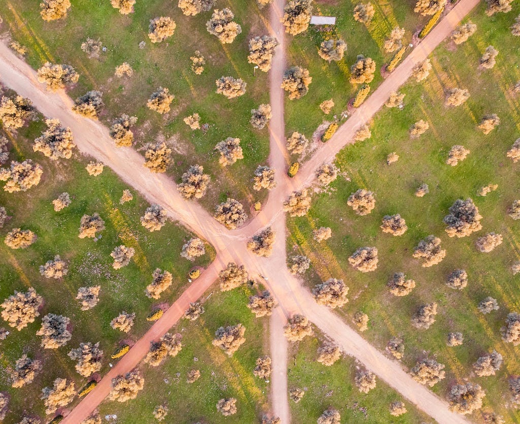 Three roads intersecting at different points across a large field of trees