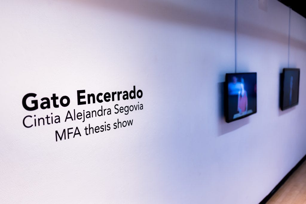 <i>Gato Encerrado,</em> Cintia Segovia, Merlino Gallery, October 2017