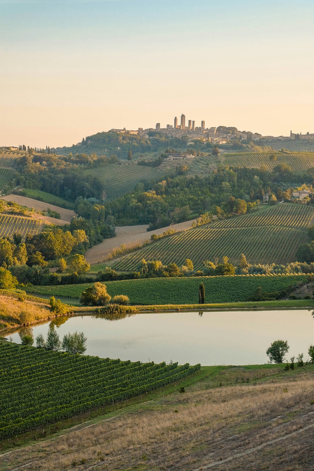 Italian farm at sunset