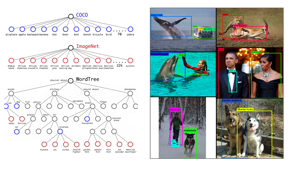 At left, the word tree used in YOLO9000; at right, several images of example objects detected with YOLO9000
