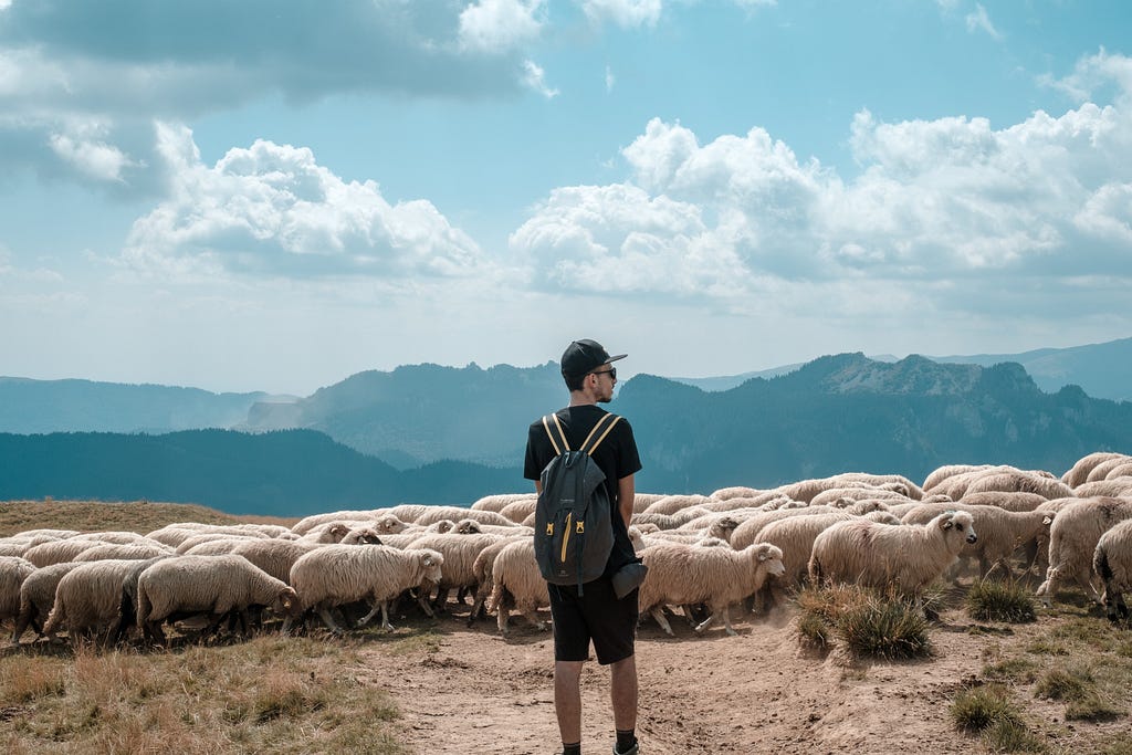 A man standing in the day light, watching a herd going forward