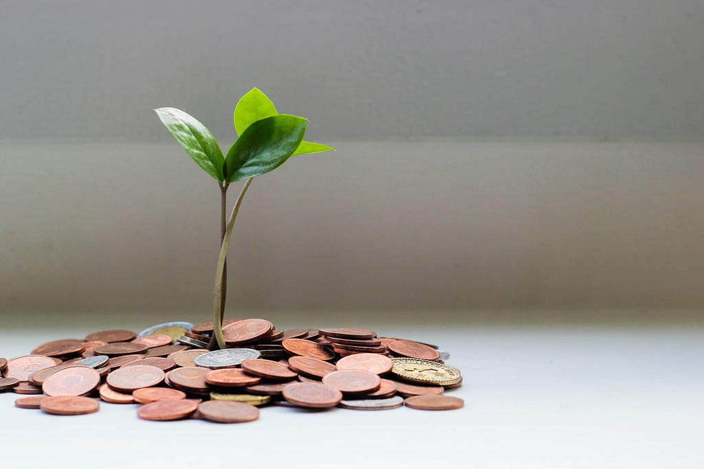 Plant growing from a pile of pennies instead or dirt.