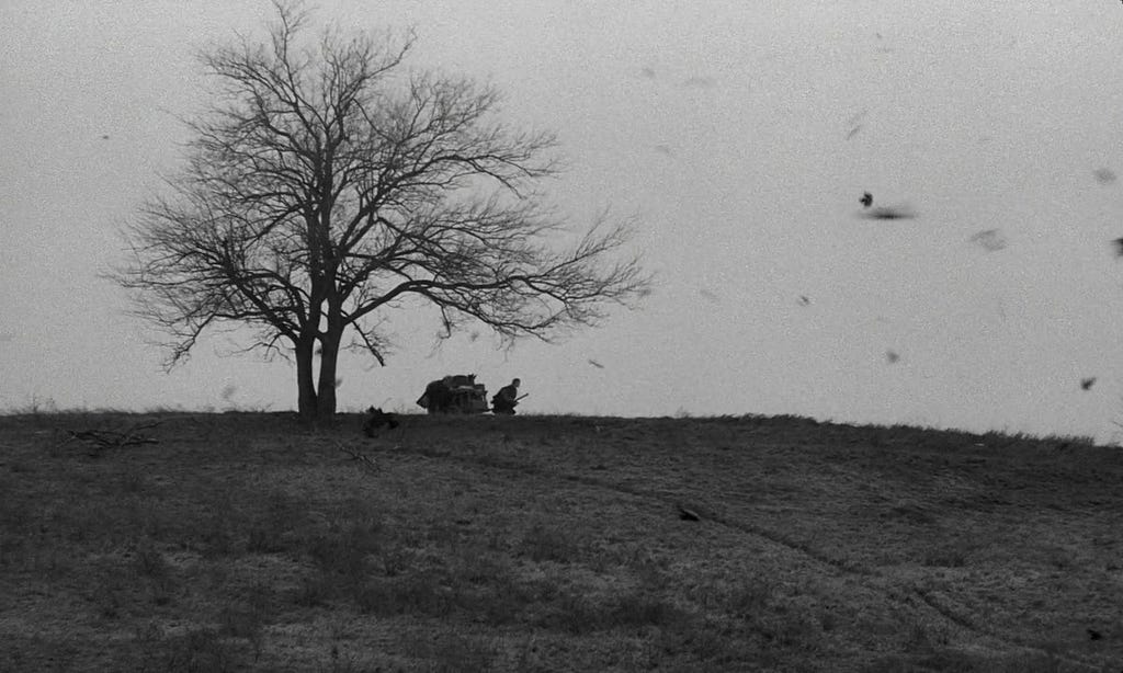 Cena de “O Cavalo de Turim” (2011), de Béla Tarr