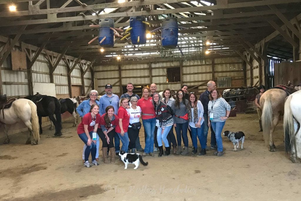 Trail riding group from Painted Bar Stables NY