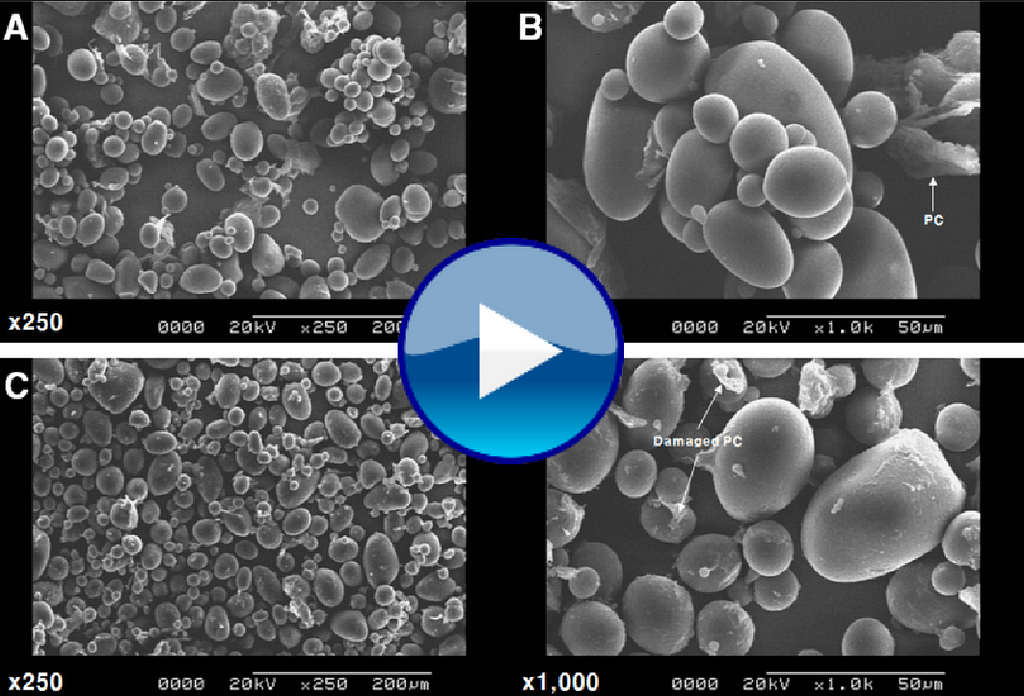 Can This Enzyme Bust Diabetes? Discover the Truth!