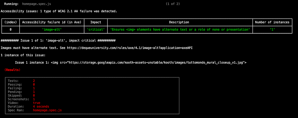 Each accessibility issue is logged in the terminal.