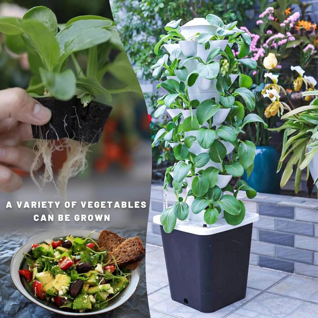 LnzyGarden's vertical hydroponic system showcases the potential for growing a variety of fresh vegetables in a compact space.