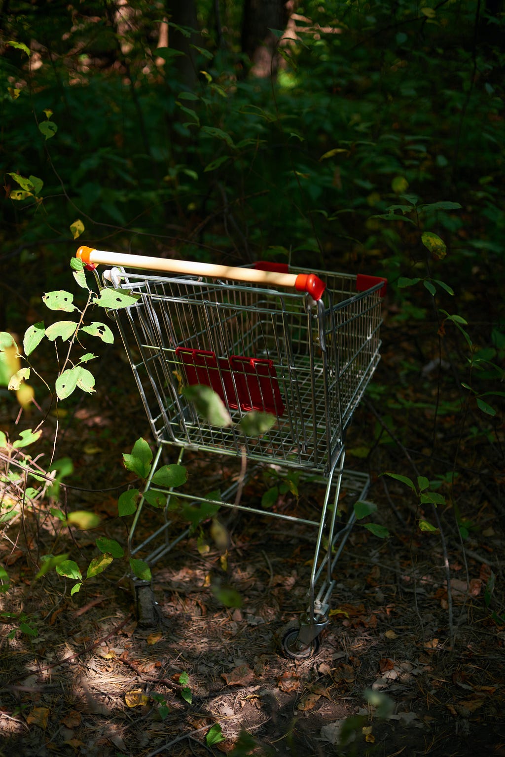 Grocery cart in middle of greenery and tress representing eco-friendly and sustainability.