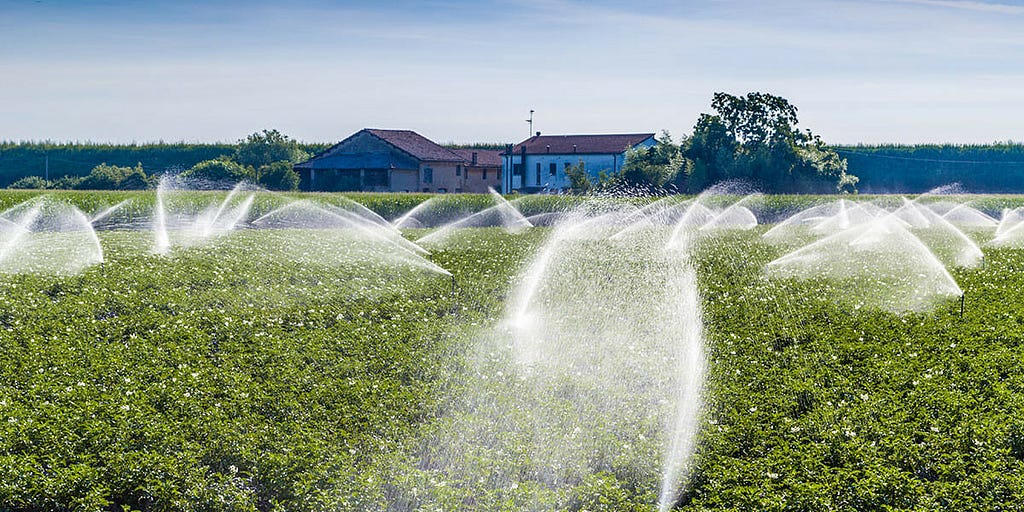water spraying crops