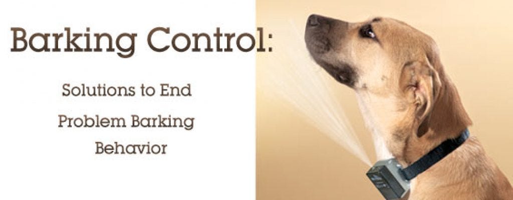 Dog Bark Control Collar